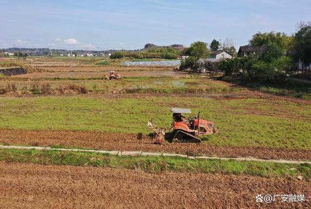 连日来,广安区各地水稻种植户,农业合作社抢抓农时,开展水稻育秧工作